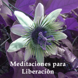 Meditaciones para Liberación
