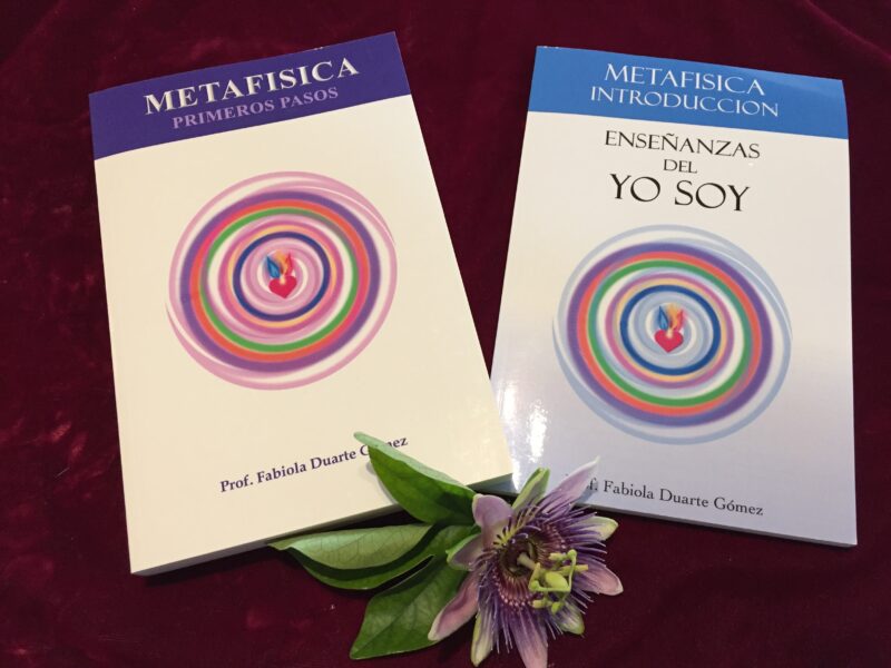 Introducción a la Metafísica