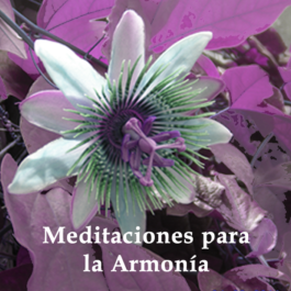 Meditaciones para la Armonía